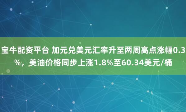 宝牛配资平台 加元兑美元汇率升至两周高点涨幅0.3%，美油价格同步上涨1.8%至60.34美元/桶