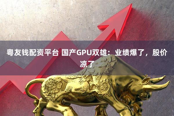 粤友钱配资平台 国产GPU双雄：业绩爆了，股价凉了