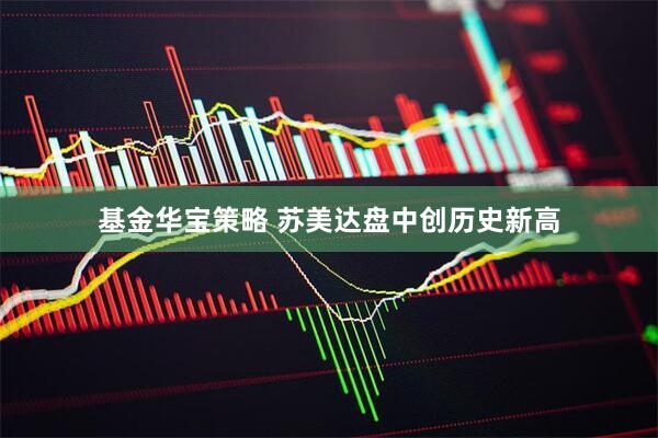 基金华宝策略 苏美达盘中创历史新高